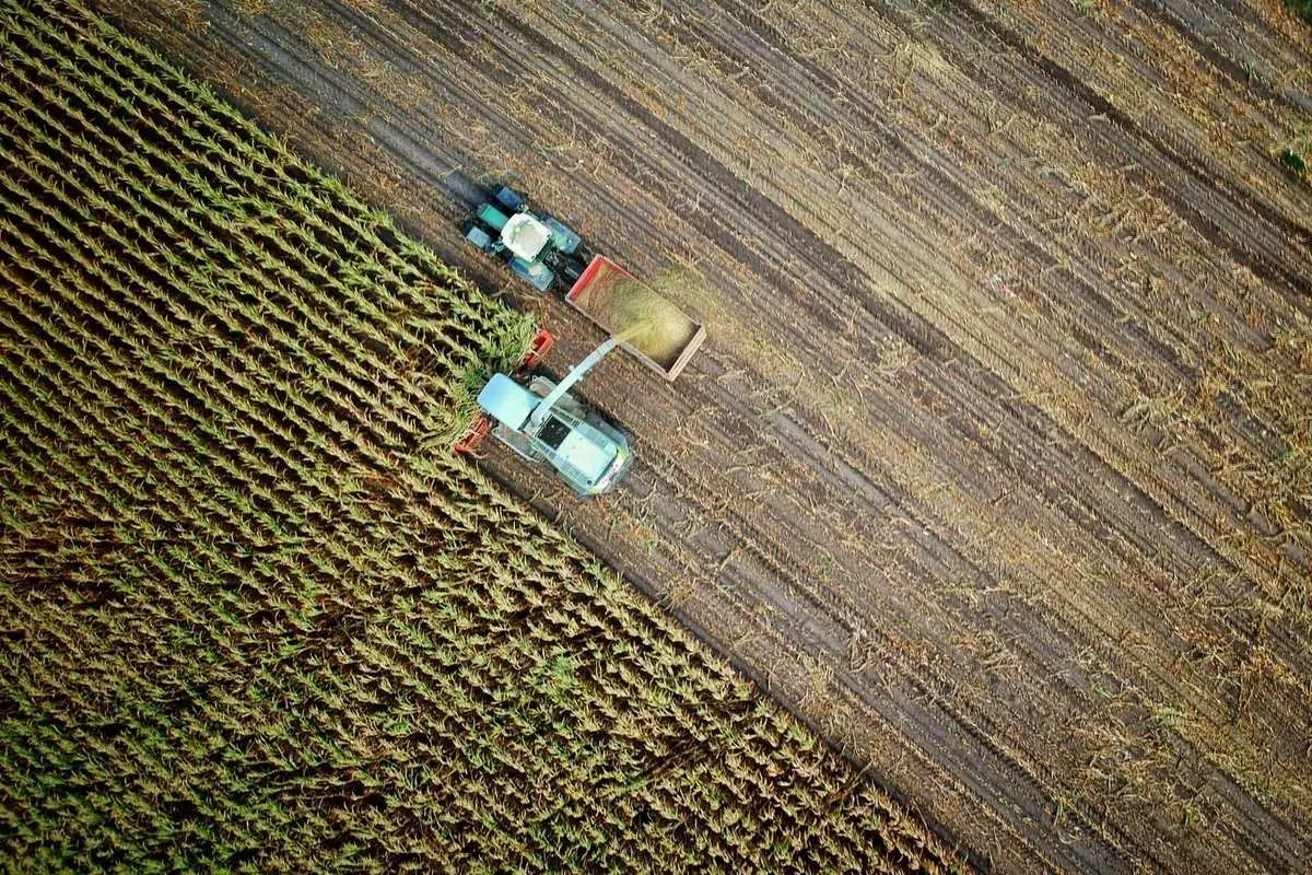 Agri-food Technologies